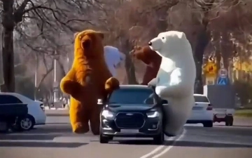В Ташкенте заметили «медведей», катающихся на авто