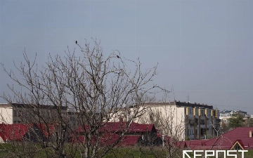 Воздух в Ташкенте на 6 марта: уровень загрязнения снова превысил норму в восемь раз