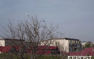 Воздух в Ташкенте на 29 марта: уровень загрязнения превысил норму в пять раз