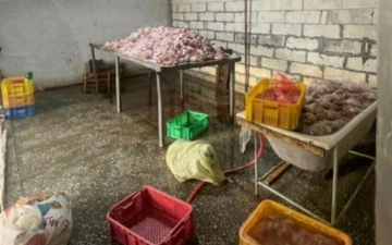 В Ташкенте накрыли подпольный цех по переработке мяса: изъято почти 5 тонн некачественной курятины