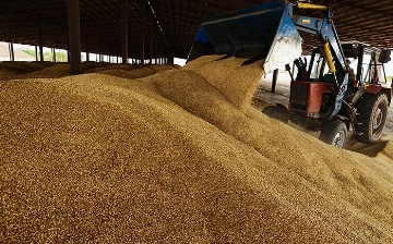 Узбекистан снова стал топ-импортером казахстанской пшеницы