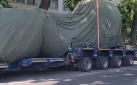 Экологи прокомментировали массовый вывоз деревьев со стройки на месте бывшего здания СГБ в Ташкенте