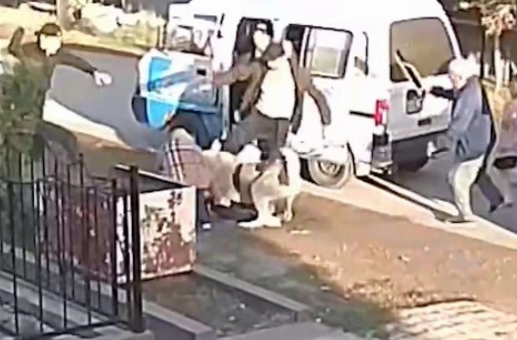 Кадр из видео