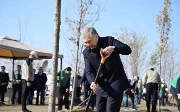 Prezident “Yashil makon” umummilliy loyihasi doirasida barpo etilayotgan yangi boqqa koʻchat ekdi (foto)