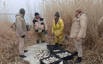 В Джизаке поймали браконьеров, незаконно наловивших рыбы почти на полмиллиарда сумов