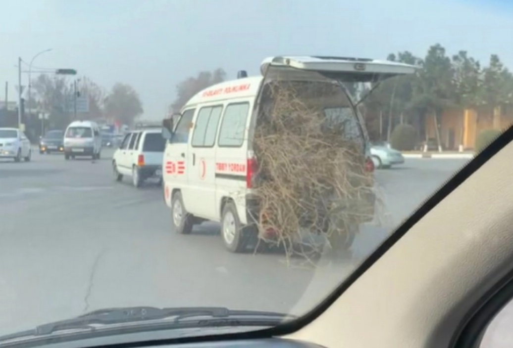 Кадр из видео
