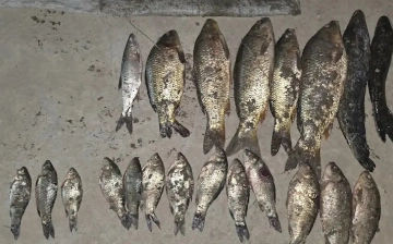 В Сырдарье браконьеры незаконно ловили рыбу: ущерб природе оценили более чем в 360 млн сумов
