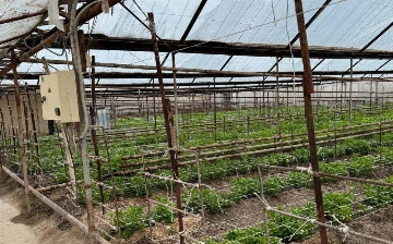 Issiqxona gazlarining chiqarilishi cheklanadi