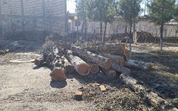 В Узбекистане вырастут штрафы за эконарушения
