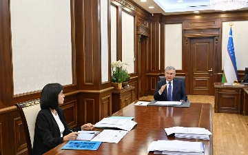 YTT va o‘zini o‘zi band qilgan shaxslar uchun maxsus huquqiy rejim joriy etiladi