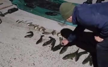 В Сырдарье браконьеры незаконно ловили рыбу: ущерб составил почти 360 млн сумов