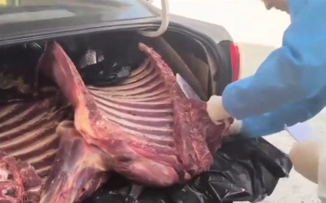 В Ташкент пытались провезти сотни килограммов испорченного мяса