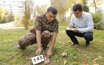 Минэкологии: Ущерб от ночной вырубки деревьев в Ташкенте составил 1,4 млрд сумов