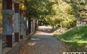 Узбекистанцам рассказали о погоде на четверг