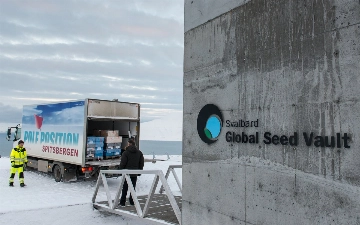 Узбекистан отправил семена своих сельхозкультур в «Хранилище Судного дня»