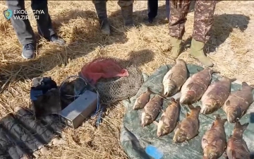 Sirdaryoda elektr qarmoq bilan baliq ovlagan shaxslar qo‘lga olindi