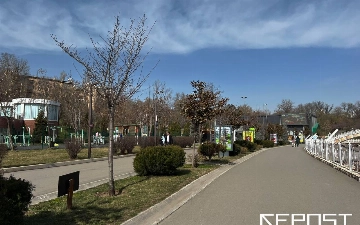 Прогноз погоды в Узбекистане на 12 ноября