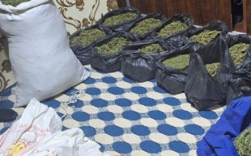 В Кашкадарье мужчина хранил у себя дома свыше 20 кг марихуаны