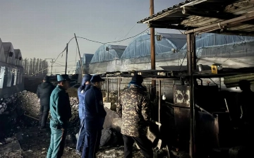 В Ташкенте будут закрывать теплицы и другие объекты, негативно влияющие на качество воздуха