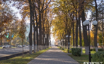 В Узбекистане прошедшая осень стала одной из самых сухих за весь период наблюдений
