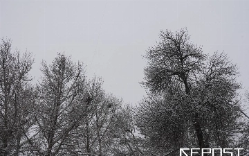 Осадки и ночные заморозки: какая погода ждет узбекистанцев на выходных