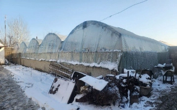 В Самарканде выявили теплицу, расхитившую газ почти на полмиллиарда сумов