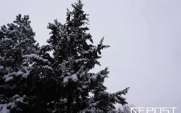 Синоптики рассказали, какая погода ждет узбекистанцев на следующей неделе