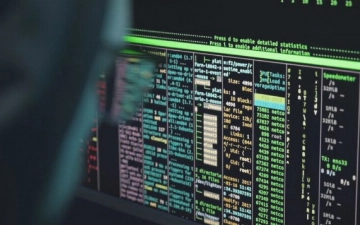 В Узбекистане усилят борьбу с киберпреступностью: в МВД создадут отдельный департамент