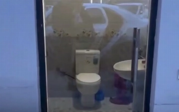 Под Ташкентом заметили туалет с прозрачной дверью: хокимият прокомментировал ситуацию
