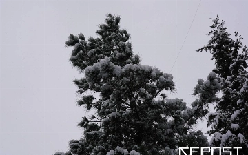Воздух в Ташкенте на 29 января: уровень загрязнения превысил норму в пять раз
