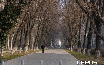 Численность населения Узбекистана приближается к 38,3 млн