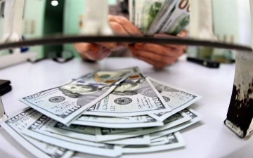 Узбекистанцы стали реже переводить деньги за границу