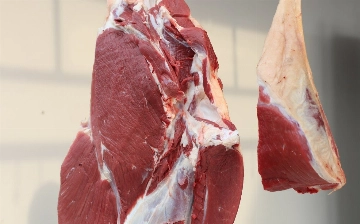 Узбекистан приостановил импорт животных и птиц из Индии из-за вируса Нипах