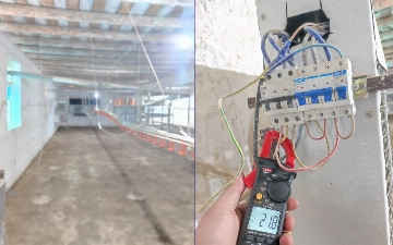 В Джизаке выявили птицеферму, расхитившую электричество более чем на 2,5 млрд сумов