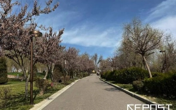 Dam olish kunlari salqin va yomg‘irli ob-havo bo‘lishi kutilmoqda