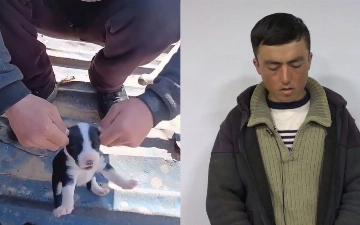 В Сурхандарье арестовали живодера, отрывавшего щенкам уши