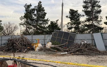 Chilonzorda 12 tup daraxt noqonuniy kesilishi oqibatida 351 mln so‘mlik zarar aniqlandi