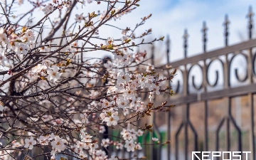 Воздух в Ташкенте на 1 марта: уровень загрязнения превысил норму в 24 раза