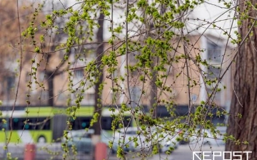 Kelgusi haftada havo sovishi kutilmoqda