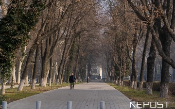 Воздух в Ташкенте на 18 марта: уровень загрязнения превысил норму в пять раз