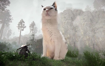 Коты захватили Crimson Desert: игроки предпочитают питомцев основному сюжету