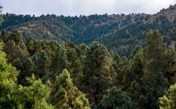 В Узбекистане установили необходимые требования к объектам национального природного наследия