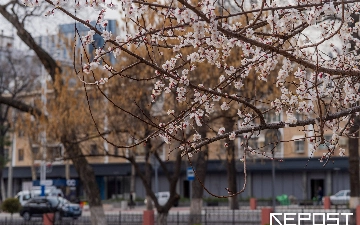 Воздух в Ташкенте на 29 марта: уровень загрязнения превысил норму в шесть раз
