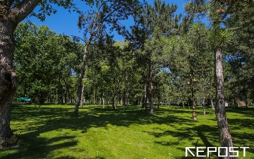 До 400 млн сумов: в Узбекистане увеличат финансирование для создания зеленых территорий