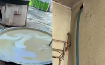 В Ташкенте выявили цех по приготовлению сумаляка, расхитивший газ более чем на 2 млрд сумов