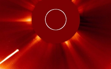 Самая яркая комета года сгорела у Солнца