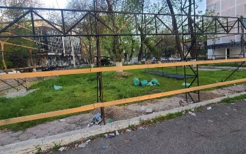 Хокиму Ташкента направили сенаторский запрос по вопросам охраны деревьев