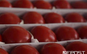 Какие продукты больше всего подорожали и подешевели в мае
