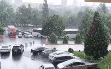Жителей Ташкента призвали соблюдать осторожность и не оставлять автомобили под деревьями