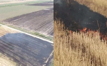 В Узбекистане выявили свыше 740 случаев возгорания на участках, освободившихся после уборки пшеницы